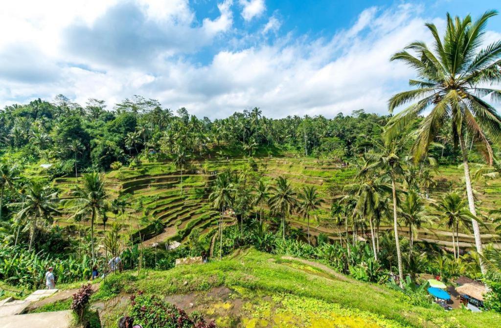 Caldera Hotel & Restaurant BALI Екстер'єр фото